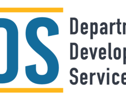 DDS Logo